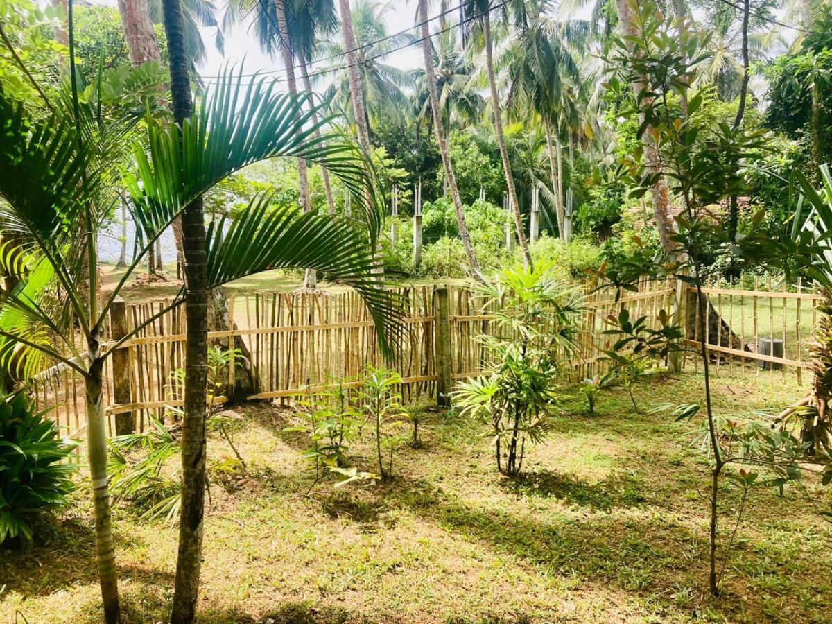 Bamboo Home Stay Hiriketiya Dikwella Exterior foto